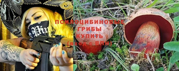 ПСИЛОЦИБИНОВЫЕ ГРИБЫ Армянск