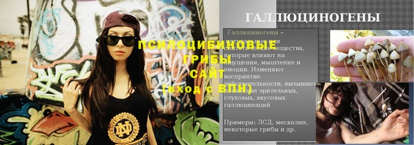 ешки Арсеньев