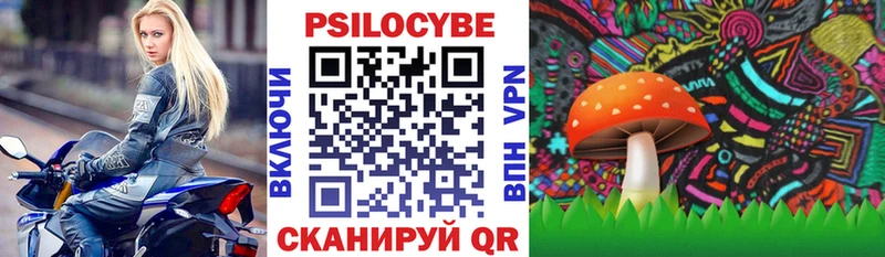 ссылка на мегу как зайти  что такое наркотик  Александровск  Галлюциногенные грибы Psilocybe 